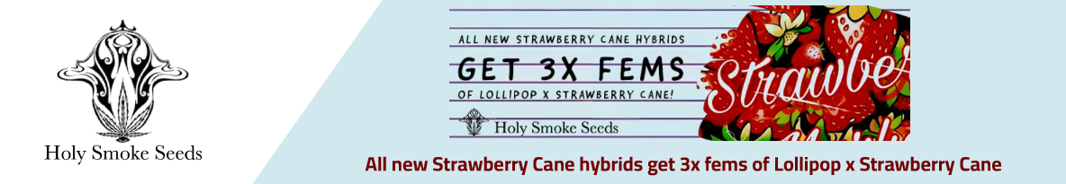 Holy Smoke Seeds Cannabis Seeds UK