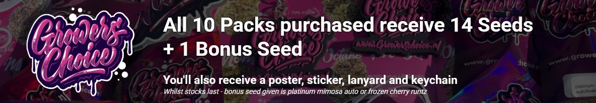 Growers Choice Seeds Cannabis Seeds UK