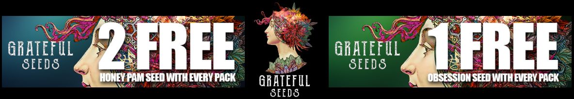 Grateful Seeds Cannabis Seeds UK