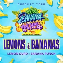 Lemons & Bananas Regular  (Perfect tree seeds) Cannabis Seeds